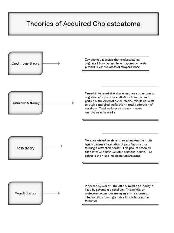 Cholesteatoma theory1
