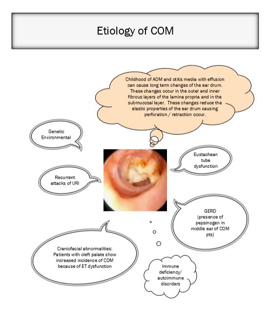 etiology of com