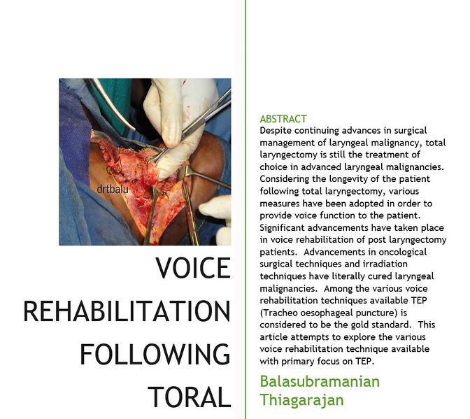 File:Voice tl.JPG