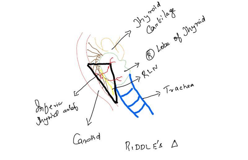 File:Riddle.jpg